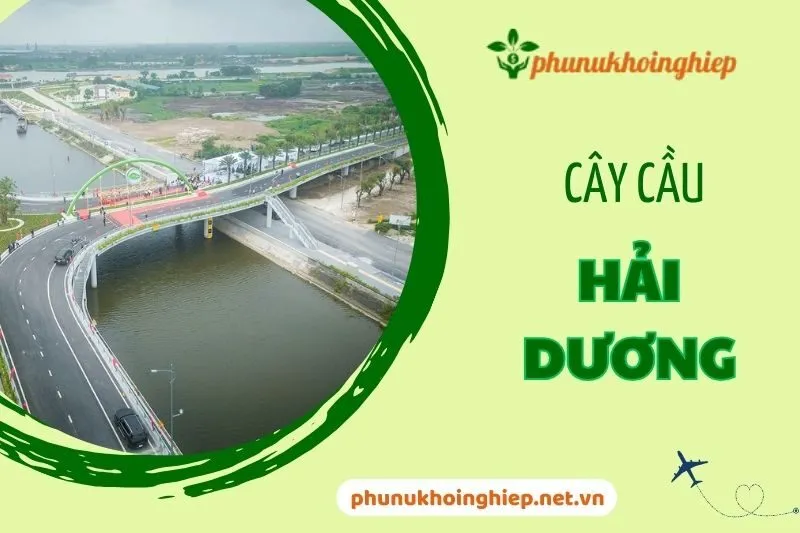 Cây cầu Hải Dương: Điểm nhấn giao thông và tiềm năng du lịch 2024