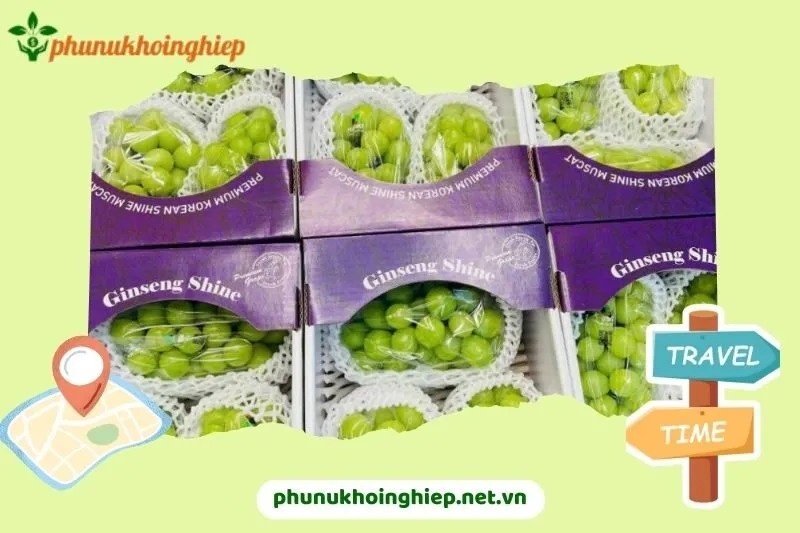 Hoa quả sạch Gold Fruit Hải Dương