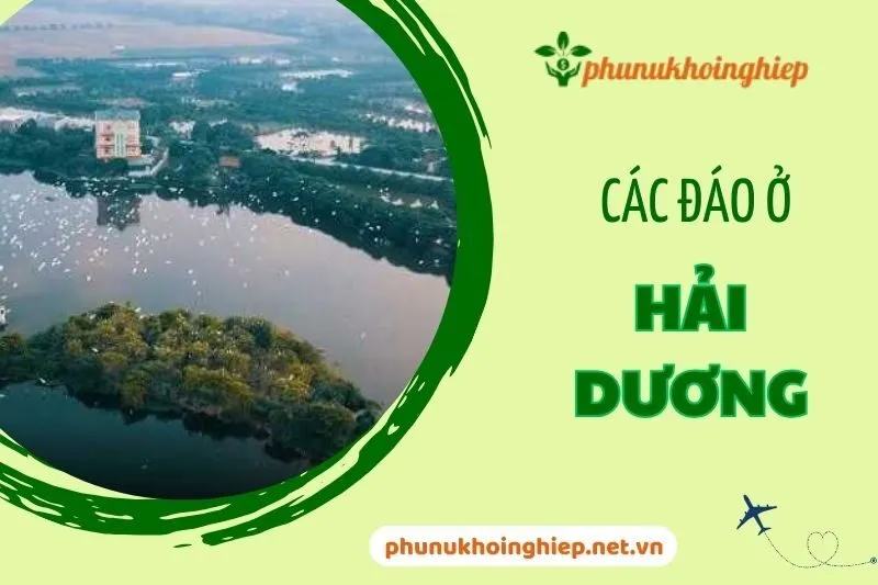 Khám Phá Các Đảo Ở Hải Dương: Đảo Cò Chi Lăng Nam và Hơn Thế Nữa 2024