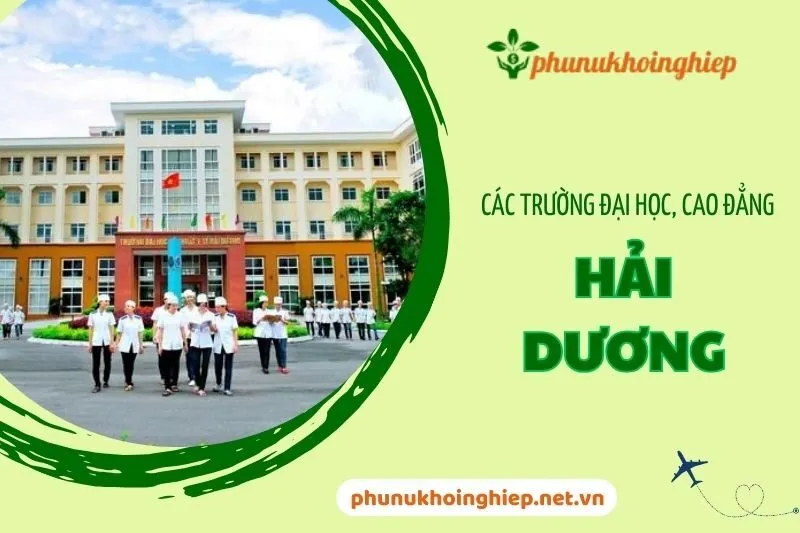 Khám Phá Các Trường Đại Học, Cao Đẳng Hải Dương Chất Lượng Cao