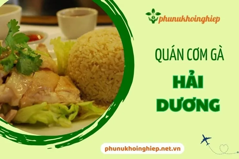 Top 5 Quán Cơm Gà Hải Dương Ngon Nhất Không Thể Bỏ Qua 2024