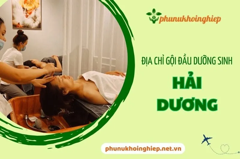 Top 6 Địa Chỉ Gội Đầu Dưỡng Sinh Hải Dương Thư Giãn Tuyệt Vời